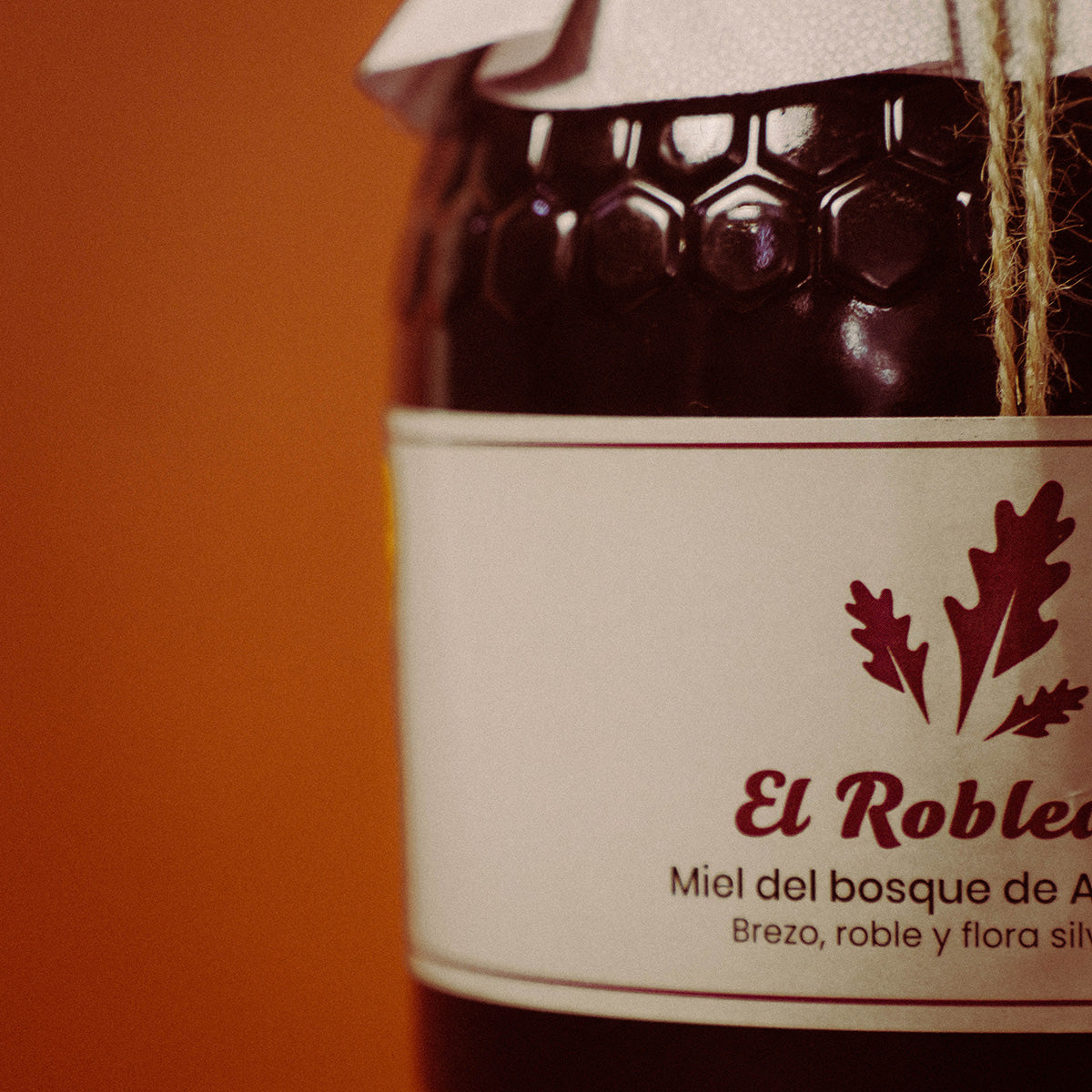 Comprar Miel El Robledal Montes de Boñar en El Negrillón